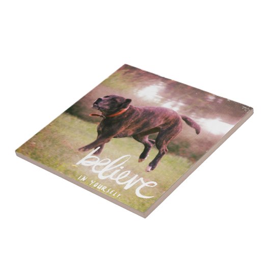 Glauben Sie an Ihren Hund Fliese (Seite)