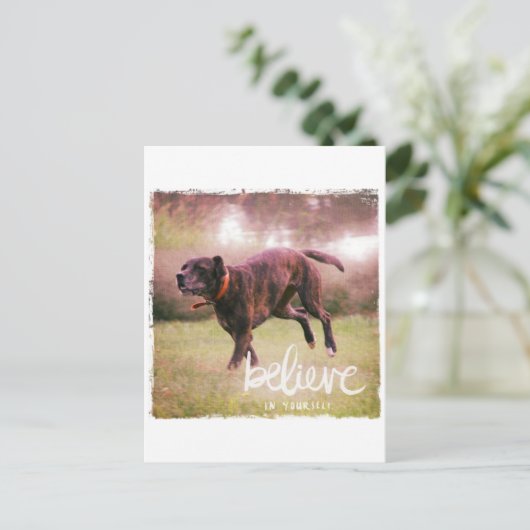 Glauben Sie an Ihren Hund Postkarte (Stehend Vorderseite)