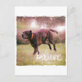Glauben Sie an Ihren Hund Postkarte (Vorderseite)