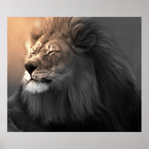 Glauben Sie dem weißen Licht Poster