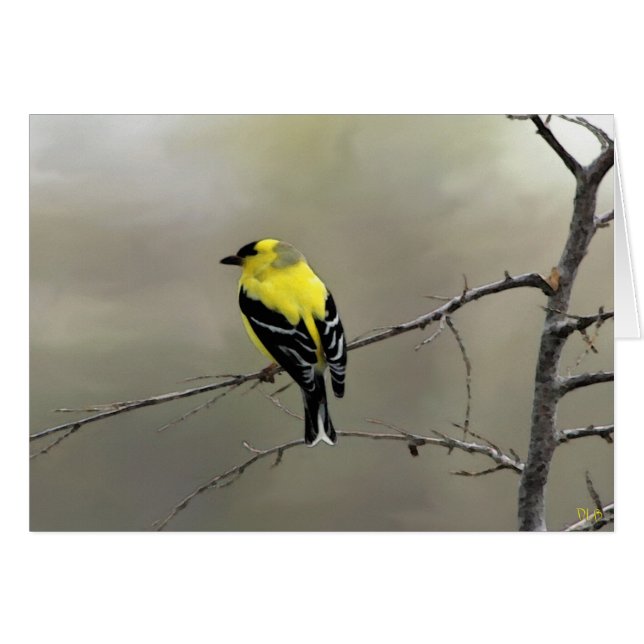 Glauben Sie immer an selbst (Vorderseite (Horizontal))