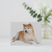 GLAUBWÜRDIG POSTKARTE (Stehend Vorderseite)