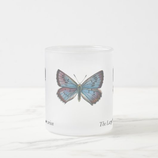 Glaucopsyche arion - The Large Blue Butterfly Mattglastasse (Mittel)