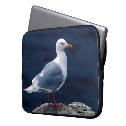 Glaucous Gull Laptopschutzhülle (Vorderseite Links)