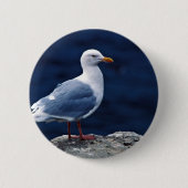 Glaucous Möve Button (Vorderseite)