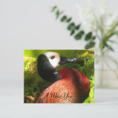 Glauve_nal Postkarte (Stehend Vorderseite)