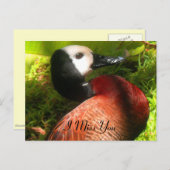 Glauve_nal Postkarte (Vorne/Hinten)