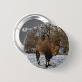 Glazed Camel Art #8083 Button (Vorne & Hinten)