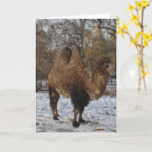 Glazed Camel Art #8083 Karte (Gelbe Blume)