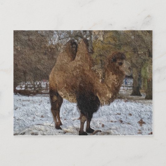 Glazed Camel Art Postkarte (Vorderseite)