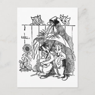 Gleeful Cats Douse Hunde Vintag Louis Wain Postkarte