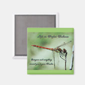 Gleichgewicht mit der Natur Magnet (Vorderseite/Rückseite)