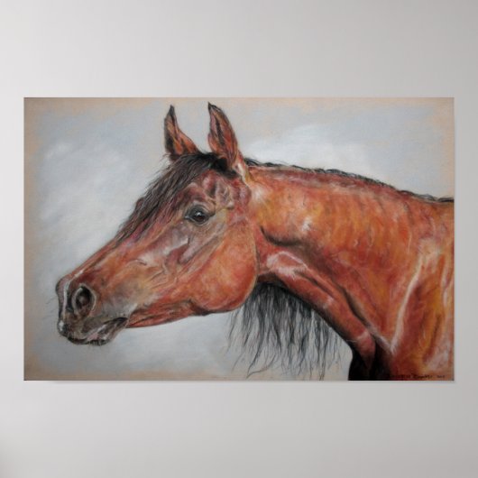 gleichwertig poster (Vorne)