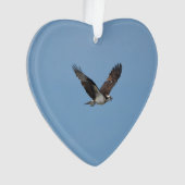 Gleitener Osprey Ornament (Vorderseite)