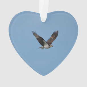 Gleitener Osprey Ornament
