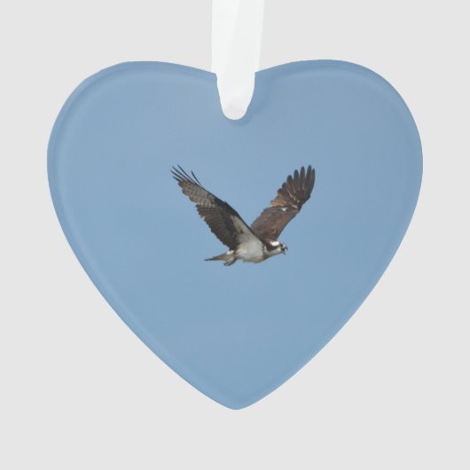 Gleitener Osprey Ornament (Rückseite)