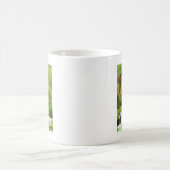 Gleithörnchen Kaffeetasse (Mittel)