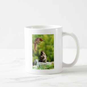 Gleithörnchen Kaffeetasse