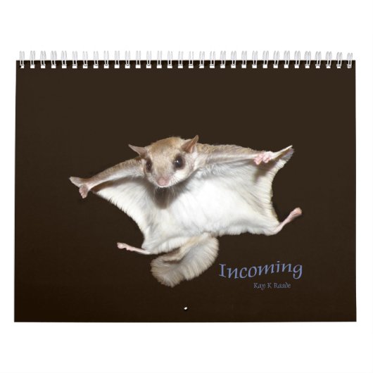 Gleithörnchen-Kalender Kalender (Titelbild)