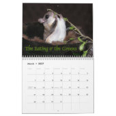 Gleithörnchen-Kalender Kalender (Mär 2027)