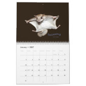 Gleithörnchen-Kalender Kalender (Jan 2027)