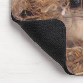 Gleithörnchen Mousepad (Ecke)