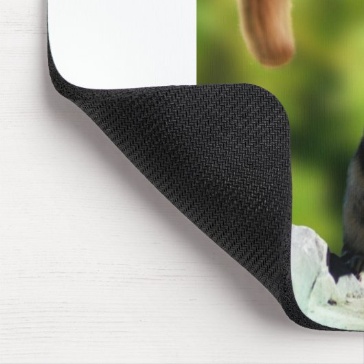 Gleithörnchen Mousepad (Ecke)