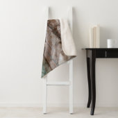 Glen Canyon National Recreation Area, Utah Sherpadecke (Beispiel)