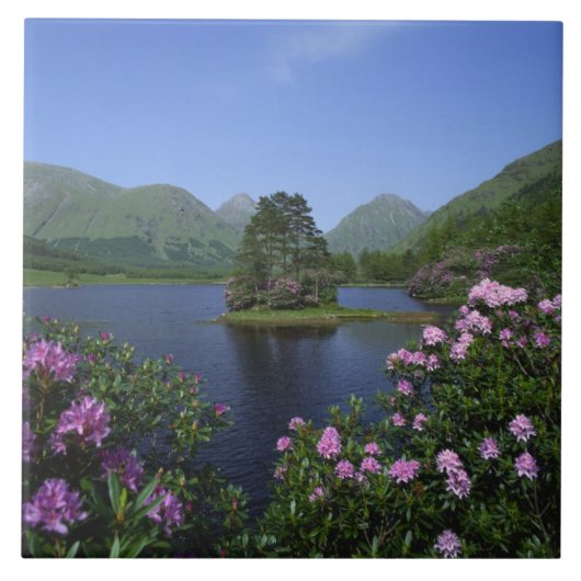 Glen Etive, Highlands, Schottland Fliese (Vorderseite)