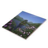 Glen Etive, Highlands, Schottland Fliese (Seite)