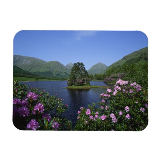 Glen Etive, Highlands, Schottland Magnet (Horizontal)