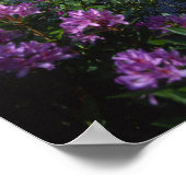 Glen Etive, Highlands, Scotland Poster (Ecke)