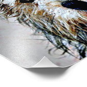 Glen of Imaal Terrier Fotodruck (Ecke)