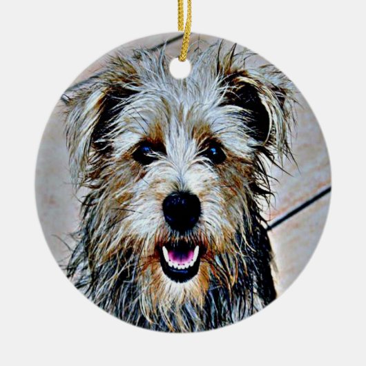 Glen of Imaal Terrier Keramikornament (Vorne)