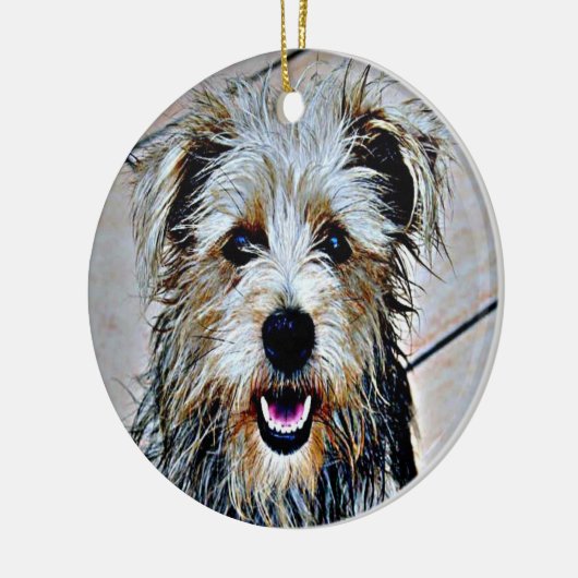 Glen of Imaal Terrier Keramikornament (Links)