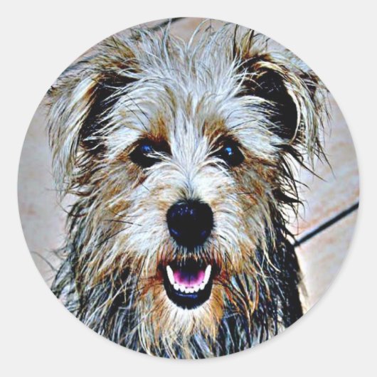 Glen of Imaal Terrier Runder Aufkleber (Vorderseite)