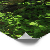 Glen of the Twins Print Poster (Ecke)