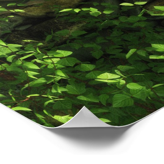 Glen of the Twins Print Poster (Ecke)