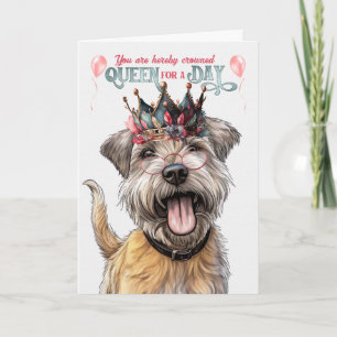 Glen von Imaal Terrier Dog Queen Funny Birthday Karte
