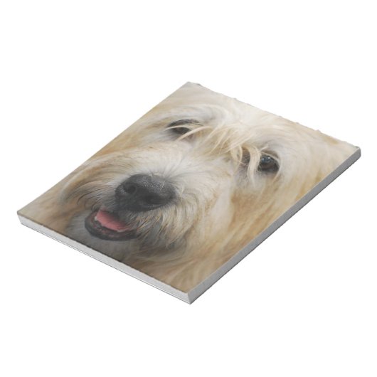 Glen von Imaal Terrier Notepad Notizblock (Rotiert)