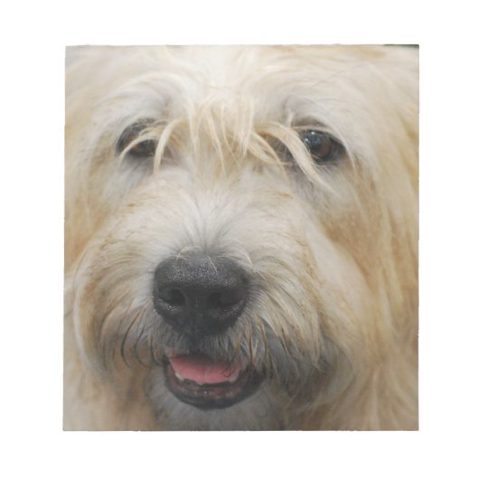 Glen von Imaal Terrier Notepad Notizblock (Vorderseite)