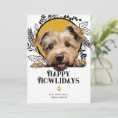 Glen von Imaal Terrier Weihnachten (Stehend Vorderseite)