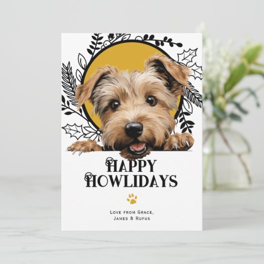 Glen von Imaal Terrier Weihnachten (Stehend Vorderseite)