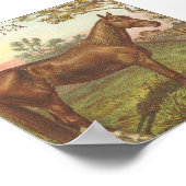 Glencona Poster (Ecke)