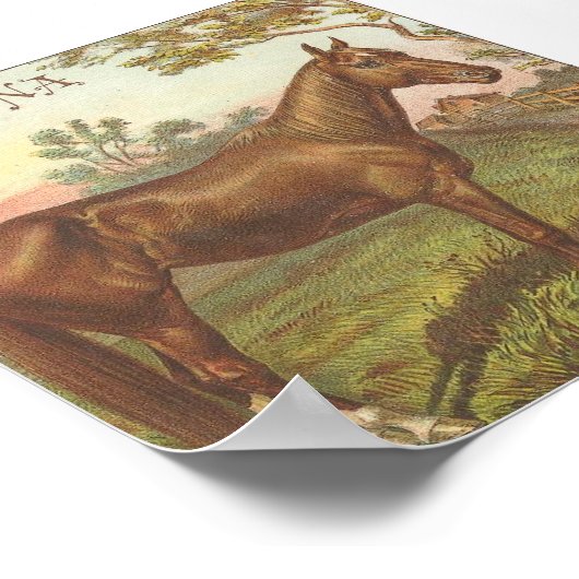 Glencona Poster (Ecke)