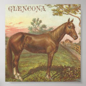 Glencona Poster (Vorne)