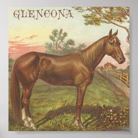 Glencona Poster (Vorne)