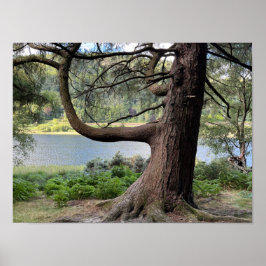 Glendalaugh Lakes Landkreis Wicklow Irland Europe Poster