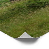 Glendalough, Irland Poster (Ecke)