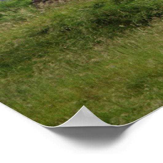 Glendalough, Irland Poster (Ecke)